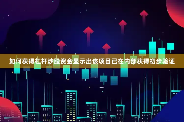 如何获得杠杆炒股资金显示出该项目已在内部获得初步验证