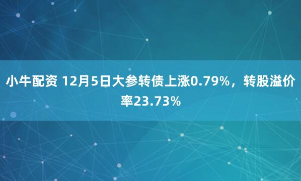 小牛配资 12月5日大参转债上涨0.79%，转股溢价率23.73%
