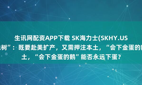 生讯网配资APP下载 SK海力士(SKHY.US)成美韩政府“摇钱树”:既要赴美扩产,又需押注本土,“会下金蛋的鹅”能否永远下蛋?